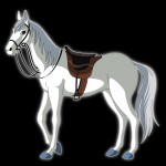 Saori's horse
