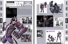 Pages 11 and 12