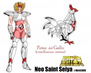 Gallus Peter