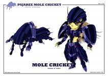Mole cricket Pajaree
