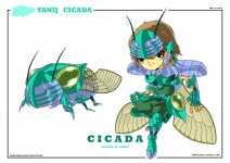 Cicada Tanij